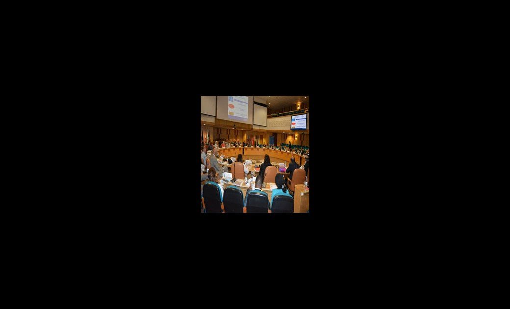 Regional meeting strengthening partnership with civil society organizations for the prevention and control of noncommunicable diseases Regional meeting strengthening partnership with civil society organizations for the prevention and control of noncommunicable diseases